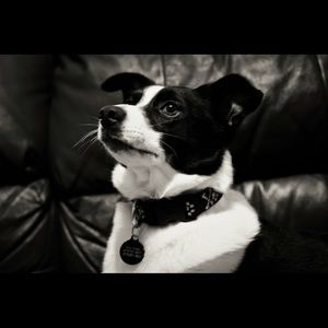 Meet your Posher, Amberlee